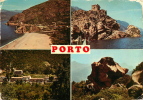 CORSE  LOT DE 4 CARTES   PORTO  LES ABORDS DU GOLFE...... - Corse