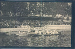 Sport D’ Eté, Aviron, Animée, - Rudersport