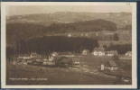 Vaud, P - Palézieux - Gare, Train, Zug, Eisenbahn, - Palézieux