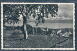 Vaud, P - Provence, - Provence