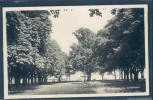 Orbe, Terrasse Du Château, - Orbe