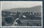 Vaud, M - Montcherand, Vue Générale, Animée, Chevaux, - Montcherand