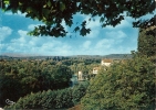 SAUVETERRE-de-BEARN    Vue Générale Sur Le Gave Et Le Pont De La Légende - Sauveterre De Bearn