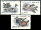 USSR Russia 1991 Ducks Birds Bird Animal Fauna Anas Aythya Oxyura Nature Stamps MNH Michel 6210-6212 Sc 6009-6011 - Anatre