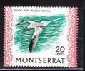 Montserrat 1970-74 Tropic Bird 20c MNH - Montserrat