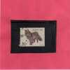 SWEDEN - SVERIGE - SVEZIA - SUEDE 1968 ANIMALS WOLF ANIMAL - ANIMALI LUPO ANIMALE USED - Gebraucht