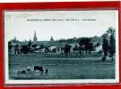 - CRAPONNE Sur ARZON - Vue Générale - Vaches Chèvres - Craponne Sur Arzon