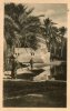 Egypte -Le Caire  Tombeaux Et Groupe De Dattiers -Cairo Tombs Ad Date-trees ( Editions: A-B-Castro  Caire) *PRIX FIXE - Cairo