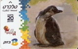 TARJETA DE ISRAEL DE UN PINGUINO (PINGUINO-PENGUIN) - Pinguïns & Vetganzen