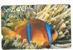 TURCHIA  (TURKEY)  -  TURK TELEKOM  (ALCATEL) -  2003 FISHES: PALYACO BALIGI    -  USED  -  RIF. 4526 - Fische