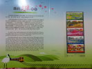 Folder 2011 Railway Branch Lines Stamps Tourist Train Sky Lantern Farm Flower Railroad Locomotive - Petróleo