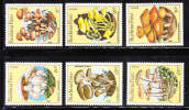 Burkina Faso 1985 Mushroom MNH - Burkina Faso (1984-...)