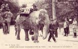 Paris...75..Jardin Zoologique Et D'acclimatation....Promenade A Dos D'Eléphants - Parcs, Jardins