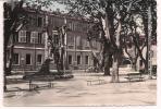 83 - AUPS - Monument Aux Morts - La Mairie - Ed. Tardy Marseille Ary - Aups