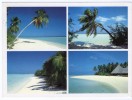 MALDIVES-VIEWS (P.C.31) / THEMATIC STAMP-BIRD - Maldivas