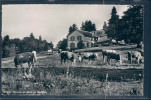 Chalet Du Mont De Baulmes, Vaches, - Baulmes