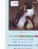 Télécarte Ancienne Japon * OISEAU MANCHOT  (878)  PENGUIN BIRD Japan * Phonecard * PINGUIN * - Pinguïns & Vetganzen