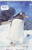 Télécarte Ancienne Japon * OISEAU MANCHOT  (880)  PENGUIN BIRD Japan * Phonecard * PINGUIN * - Pinguïns & Vetganzen