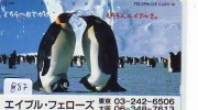 Télécarte Ancienne Japon * OISEAU MANCHOT  (887)  PENGUIN BIRD Japan * Phonecard * PINGUIN * - Pinguïns & Vetganzen