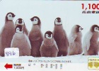 Carte Prépayée Japon * OISEAU MANCHOT  (896)  PENGUIN BIRD Japan * Prepaidcard * PINGUIN * - Pinguins
