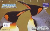 Carte Prépayée Japon * OISEAU MANCHOT  (891)  PENGUIN BIRD Japan * Prepaidcard * PINGUIN * - Pinguins