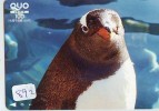 Carte Prépayée Japon * OISEAU MANCHOT  (892)  PENGUIN BIRD Japan * Prepaidcard * PINGUIN * - Pinguins