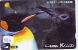 Carte Prépayée Japon * OISEAU MANCHOT  (893)  PENGUIN BIRD Japan * Prepaidcard * PINGUIN * - Pinguïns & Vetganzen