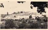 Fayence - Vue Générale - Fayence