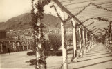 Pergolas Del Parque - Jaén