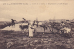 ¤¤¤ 209 - ILE De NOIRMOUTIER  - La Récolte Du Sel Marin ,un Des Principaux Produits Du Pays ¤¤¤ - Ile De Noirmoutier