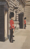 Angleterre - Irish Guards On Sentry Duty At Buckingham Palace, London - Buckingham Palace