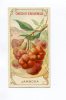 AIGUEBELLE   Chromo Didactique Fruit Jambosier Inde  Boisson   Texte Au Dos - Aiguebelle