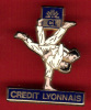 19457-banque.credit Lyonnais..JUDO.ARTS MARTIAUX.signé  Decat Paris.. - Judo