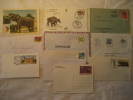 ELEPHANT Elehants Elefante Elefantes Circus Zoo Fauna 10 Postal History Different Items Collection Lot - Colecciones (en álbumes)