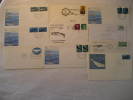 WHALE Whales Baleines Ballena Ballenas Dolphin Dauphin Cetacean Sea Fauna 10 Postal History Different Items Collection - Collections (en Albums)