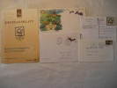 BAT Bats Murcielago Murcielagos Vampire Vampiro Fauna 5 Postal History Different Items Collection Lot - Collezioni (in Album)