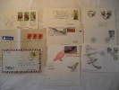 EAGLE Eagles Aigle Aguila Aguilas Halcon Vautour Capture Vulture Birds 10 Postal History Different Items Collection Lot - Colecciones (en álbumes)