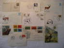DEER Deers Ciervo Ciervos Cerf Cerfs Fauna 10 Postal History Different Items Collection Lot - Collections (en Albums)