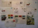 DEER Deers Ciervo Ciervos Cerf Cerfs Fauna 10 Postal History Different Items Collection Lot - Collezioni (in Album)