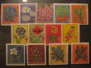 GERMANY Christmas Tuberculosis Tuberkulose Tuberculose Medicine Flora 13 Poster Stamp Label Vignette Viñeta Colle - Collections (with Albums)