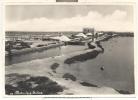 259-MARSALA(TRAPANI)-SALINE-FG - Marsala