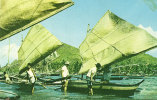 Fishing Boats Of Legaspi Albay - Filipinas