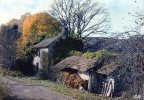 EN LIMOUSIN - Vieille Ferme Typique - Limousin