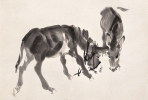 (NZ06-073  ) Painting Donkey Dos D´âne Esel Anes ,  Postal Stationery-Postsache F -Articles Postaux - Donkeys