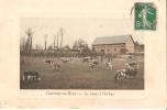 GOURNAY-EN-BRAY.   Les Vaches à L'herbage - Gournay-en-Bray