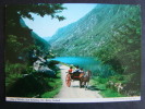 CPSM Irlande-Gap Of Dunloe,near Killarney    L933 - Kerry