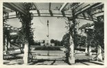 81 - CPSM Carmaux - Parc Jean-Jaurès - Monument Aux Morts - Carmaux