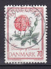 Denmark 1973 Mi. 544    70 Ø Blume Flower Rose Deluxe MIDDELFART Cancel !! (Cz. Slania) - Usado