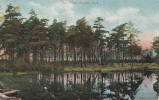 Vintage - Sutton Park - The Pines - Warwickshire - Good Condition - 2 Scans - Scott Russell & Co. - Otros & Sin Clasificación