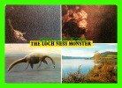 INVERNESS-SHIRE, SCOTLAND - THE LOCH NESS MONSTER - J. ARTHUR DIXON - - Inverness-shire